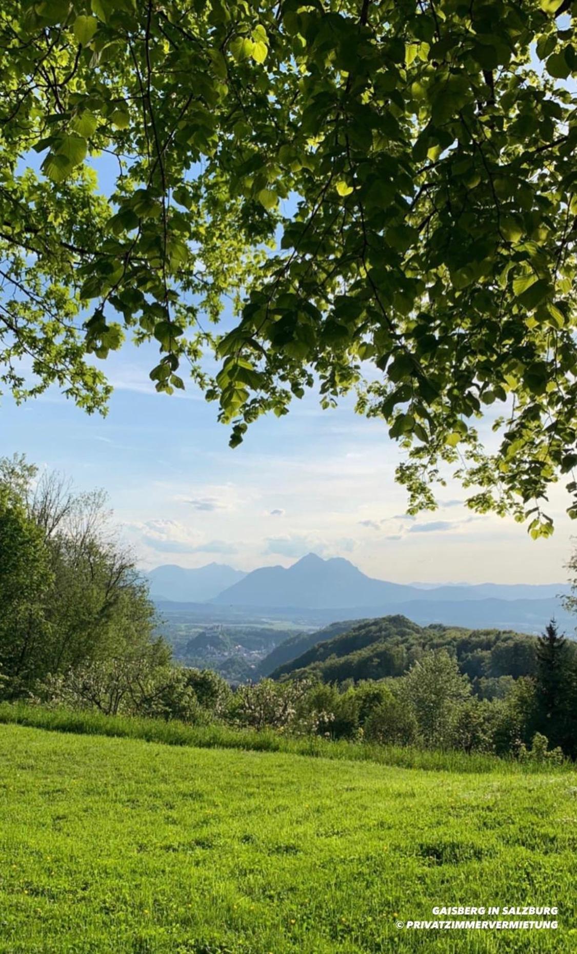 Privatzimmervermietung Salzburgo Exterior foto